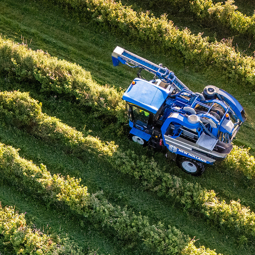 The Organic Difference: Why We Put Caring for Planet & People First