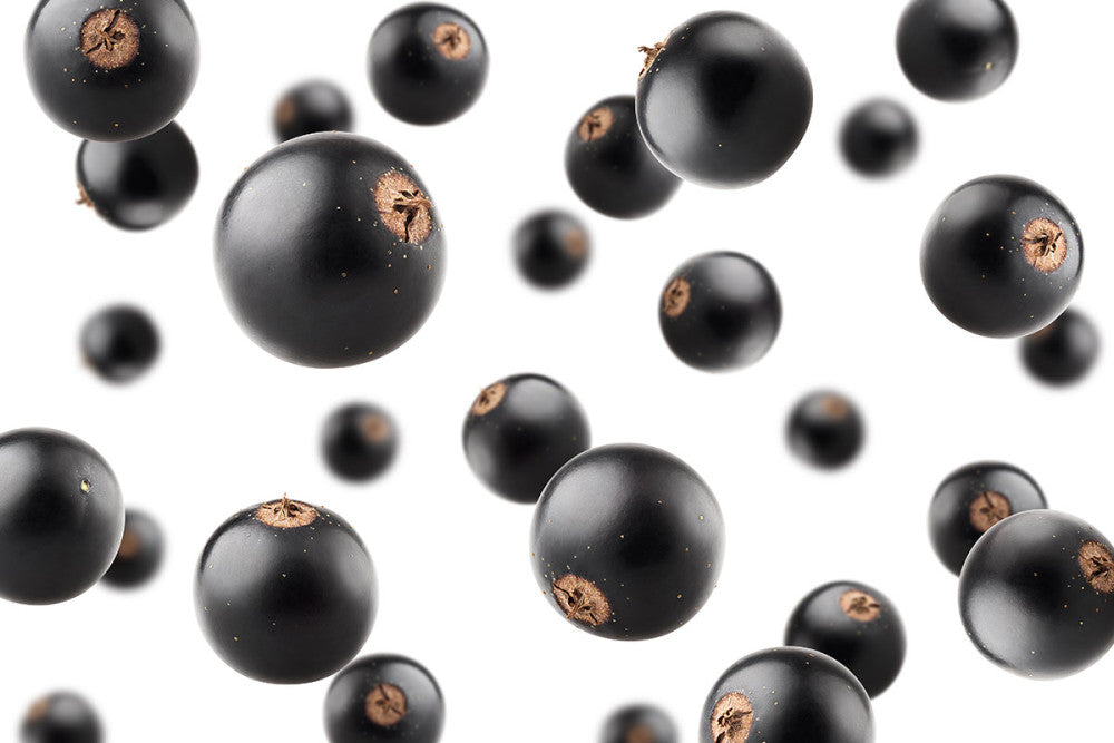 Research Explores How New Zealand Blackcurrants Support Cardiovascular Function